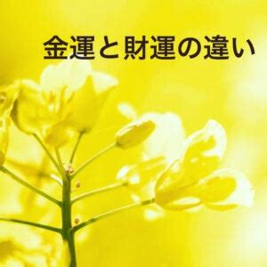 財運|財運と金運の違いはなんなのか【バランスが大事】 ｜ 風水かあ 